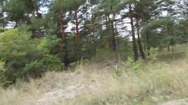 Kiew Ukraine Europa August 2019 Radtour Auf Einem Waldweg Ein — Stockvideo