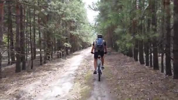 Kiev Ucrania Europa Agosto 2019 Paseo Bicicleta Por Camino Forestal — Vídeo de stock