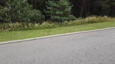 Kiev, Ukrayna, Avrupa - Ağustos 2019: Orman yolunda bisiklet sürmek. Ormanda bir bisikletçi bir yolda gidiyor. Ormanda bisiklet turu.