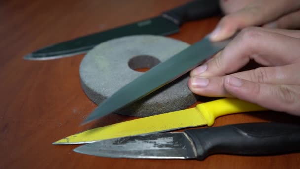 Männerhände Schärfen Tischmesser Holz Hintergrund — Stockvideo
