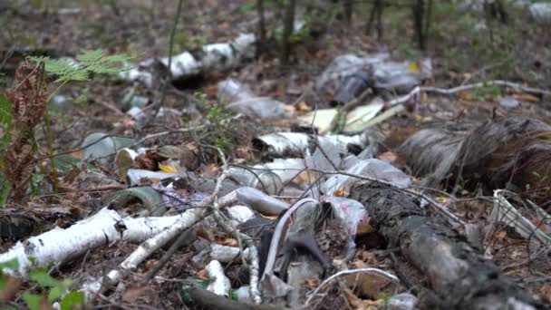 Hel Del Skräp Mitt Skogen Skräp Som Slängs Skogen — Stockvideo