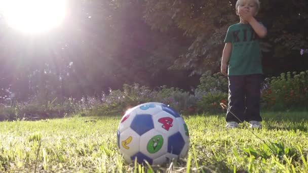 乌克兰 2019年8月 一个三岁的孩子在阳光下踢球 在绿色的草坪上训练一个男孩踢足球 足球处罚 — 图库视频影像