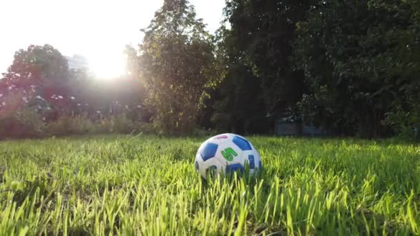 乌克兰 2019年8月 一个三岁的孩子在阳光下踢球 在绿色的草坪上训练一个男孩踢足球 足球处罚 — 图库视频影像