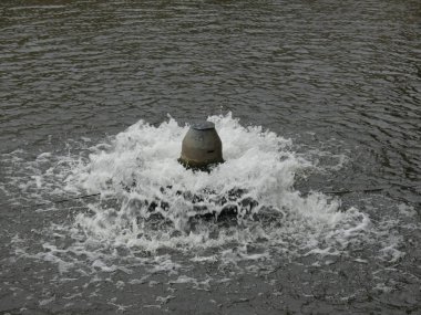 Parkta küçük bir çeşme. Fıskiyeye su püskürt..