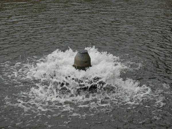 Parkta küçük bir çeşme. Fıskiyeye su püskürt..