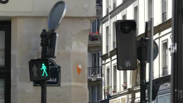 Paris France May 2019 Red Green Traffic Light Pedestrian Traffic — Stock Video