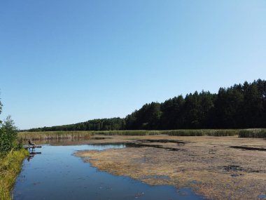Orman Gölü. Orman gölündeki sazlikler.