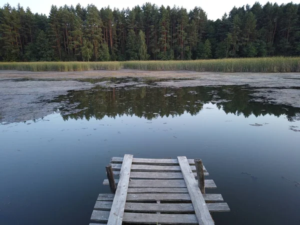 Stará dřevěná dlažba na pozadí lesního jezera. — Stock fotografie