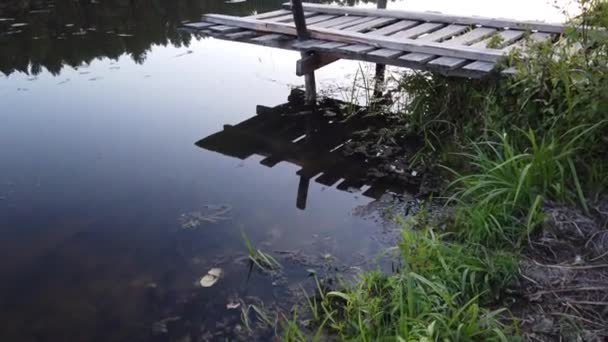 森林湖を背景にした古い木製の舗装 — ストック動画