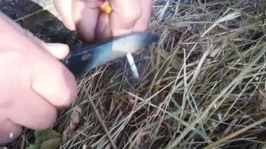 Erkek elleri çakmaktaşı ile magnezyum çubuk kullanarak bir yangın yapmak. Şenlik ateşi sırasında kıvılcımlar.