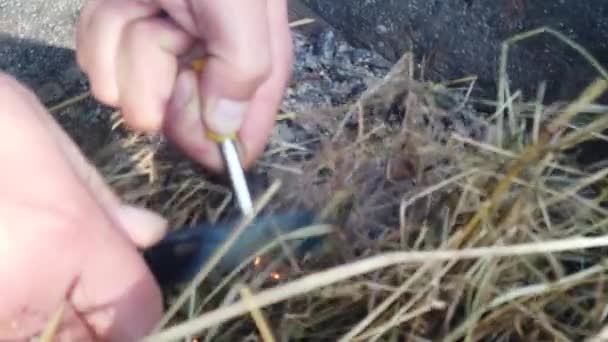 Männerhände Machen Mit Einem Magnesiumstab Mit Feuerstein Ein Feuer Funken — Stockvideo