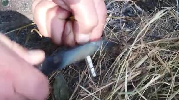 Erkek Elleri Çakmaktaşı Ile Magnezyum Çubuk Kullanarak Bir Yangın Yapmak — Stok video