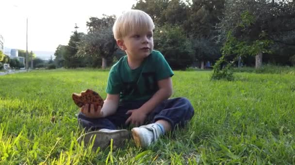 少年は緑の芝生の上に座ってクッキーを食べる — ストック動画