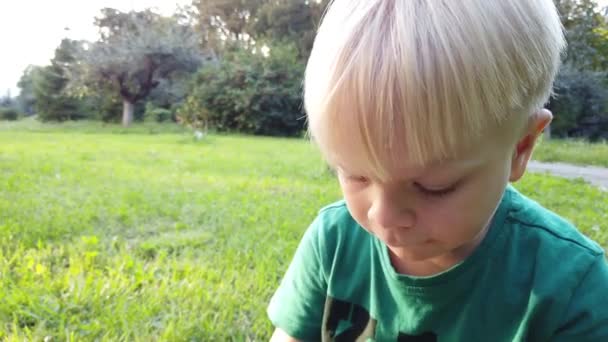 Le garçon mange des biscuits assis sur une pelouse verte .
