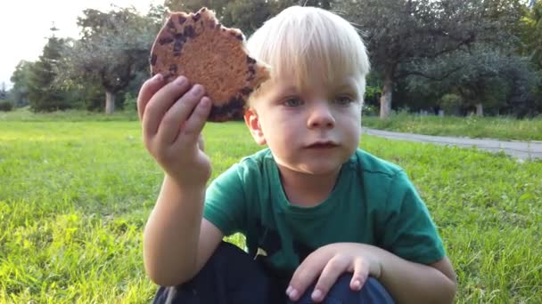 少年は緑の芝生の上に座ってクッキーを食べる — ストック動画