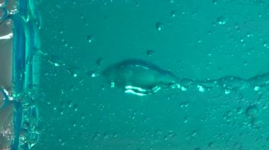 Jeldeki mavi hava kabarcıkları. Mavi arka planda jel ampulleri. Mavi boğalar yakın plan. Ekranda yüzen Bulbashki. 