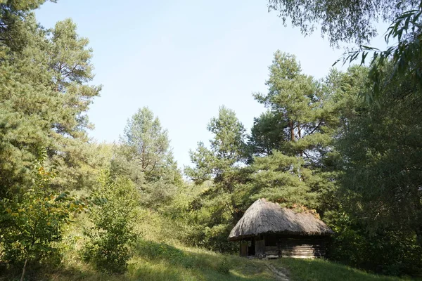 Старий дерев'яний будинок з солом'яним дахом у лісі. Старий будинок в — стокове фото