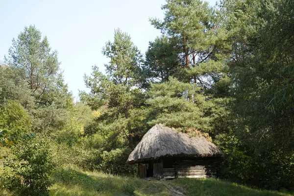 숲에 초가 지붕 오래된 목조 주택. 오래된 집에서 — 스톡 사진