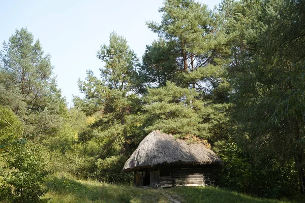 Oud houten huis met rieten dak in het bos. Oude huis in — Stockfoto