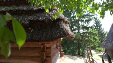 Kiev, Ukrayna, Avrupa - Eylül 2019: Sazdan çatılı eski ahşap ev. Ormanla çevrili eski ahşap ev. Pirogovo Müzesi.