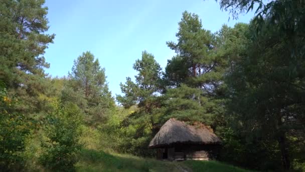 Παλιό Ξύλινο Σπίτι Αχυρένια Στέγη Στο Δάσος Παλιό Σπίτι Στα — Αρχείο Βίντεο