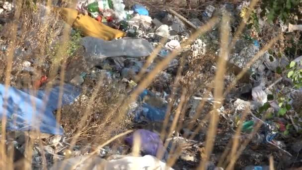 Киев Украина Европа Сентябрь 2019 Свалка Строительных Отходов Экология Загрязнение — стоковое видео