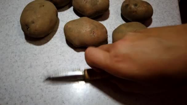Männerhände Schälen Kartoffeln Zeitraffer — Stockvideo
