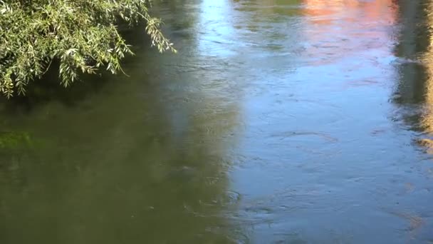 Bydgoszcz Polen September 2019 Blick Auf Den Städtischen Wasserkanal Des — Stockvideo