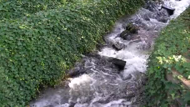 Gebirgswasser Grünen Wasser Fließt Über Die Stromschnellen Nahaufnahme — Stockvideo