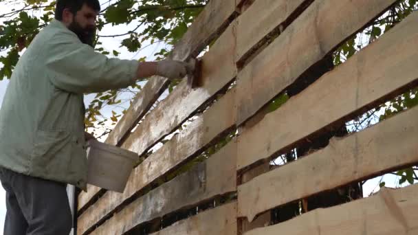 Człowiek Brodą Maluje Nowe Drewniane Ogrodzenie Przetwarzam Nowy Drewniany Płot — Wideo stockowe