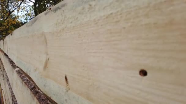 Szakállas Ember Fából Készült Kerítést Fest Feldolgozok Egy Fából Készült — Stock videók