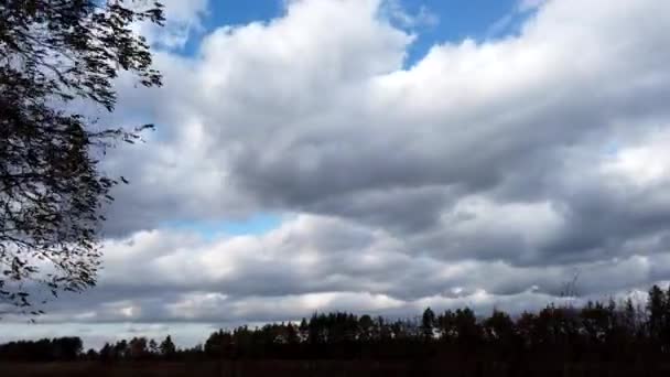 De beaux nuages flottent sur la forêt d'automne. Timelapse. Changement de nuages sur les pins. Des nuages flottent au-dessus des arbres .