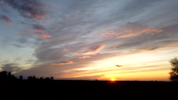 Bellissimo Tramonto Sul Campo Albero Solitario Sole Cambio Nuvole Nei — Video Stock