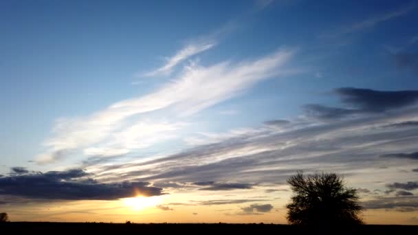 Belo Pôr Sol Sobre Campo Árvore Solitária Sol Mudança Nuvens — Vídeo de Stock