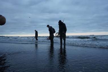 Baltık Denizi, Gdansk, Polonya - Eylül 2019: Amber duri 'yi yakaladı