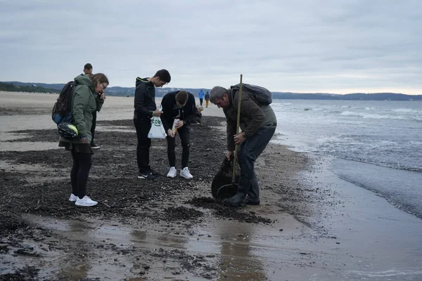 Baltık Denizi, Gdansk, Polonya - Eylül 2019: Amber duri 'yi yakaladı