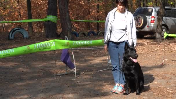 Kiev Ukrayna Avrupa Eylül 2019 Bölgede Köpek Eğitimi Bir Antrenör — Stok video