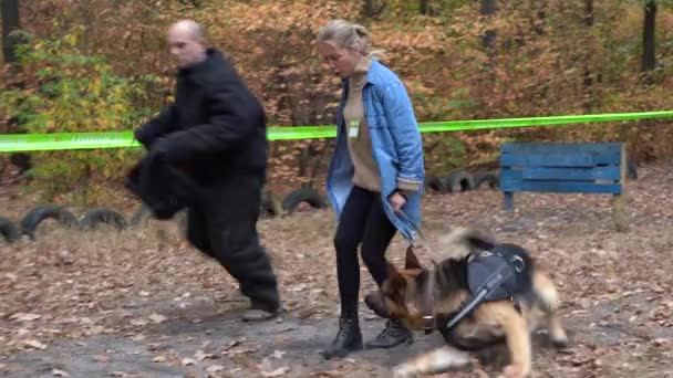 乌克兰基辅 2019年9月 在现场进行狗训练 教练和狗一起工作 狗训练学校 特洛伊 — 图库视频影像