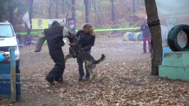 Kiev Ukrayna Avrupa Eylül 2019 Bölgede Köpek Eğitimi Bir Antrenör — Stok video