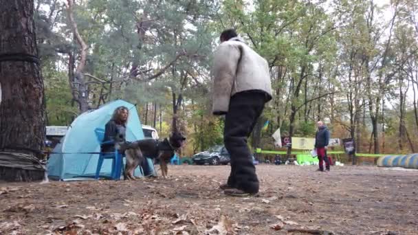 Kiev Ucrânia Europa Setembro 2019 Treinamento Cães Local Treinador Trabalha — Vídeo de Stock