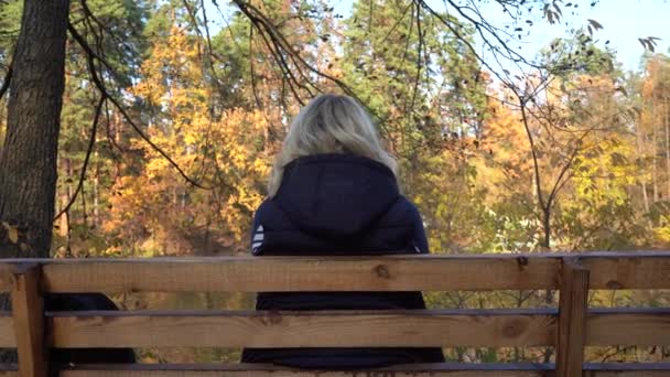 湖や秋の森を背景に少女がベンチに腰を下ろしている 湖の前の秋の森のベンチに腰を下ろして — ストック動画