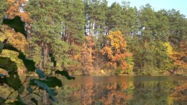 Sonbahar ormanındaki göl. Sonbahar ormanındaki orman gölü. Göl ve ormanlı sonbahar manzarası.