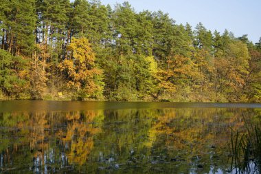 Sonbahar ormanındaki göl. Sonbahar ormanındaki orman gölü. Aut