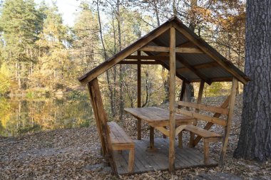 Güz ormanında, gölün yakınındaki ahşap bir ağaç..