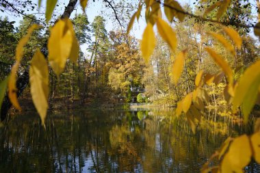 Güz ormanındaki eski merdivenler Gölün önünde.