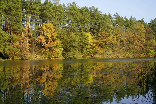 Jezero v podzimním lese. Lesní jezero v podzimním lese. Aut — Stock fotografie