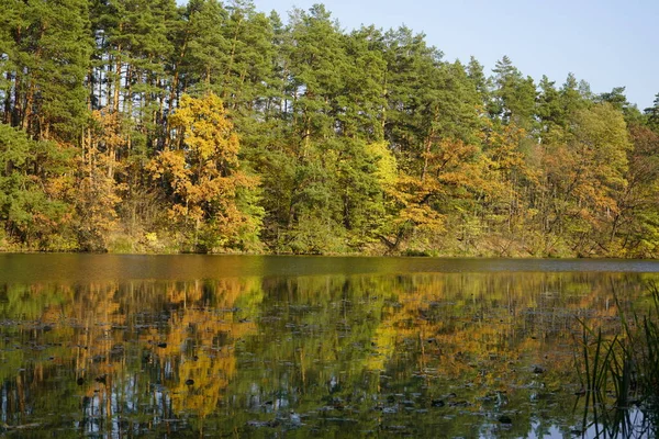 가을 숲의 호수. 가을 숲의 숲 호수. 에뮤 — 스톡 사진