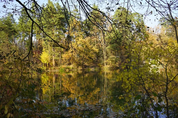 Lake in the autumn forest. Forest lake in the autumn forest. Aut — Stock Photo, Image