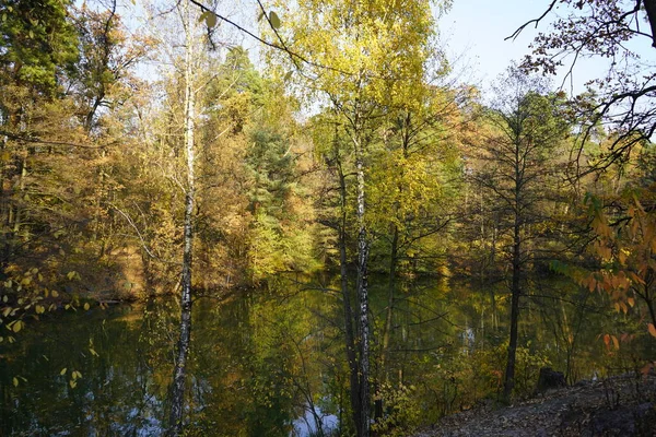 Lac dans la forêt d'automne. Lac forestier dans la forêt d'automne. 31 août — Photo