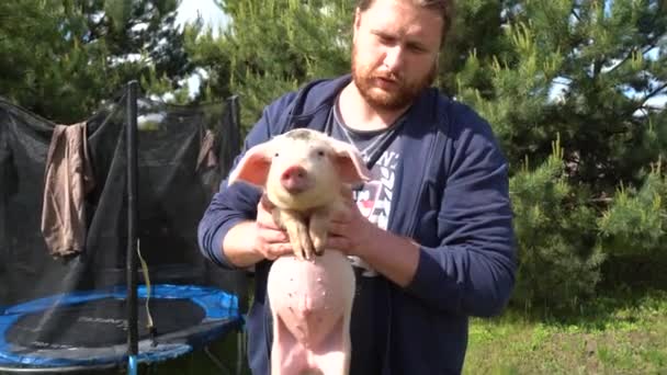 一个人抓小猪 大胡子的男人抱着小猪 — 图库视频影像